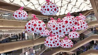 ゆったりとした店内で大人の町、銀座らしい