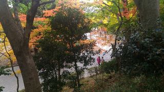 公園中央付近の盛り上がっているあたりです