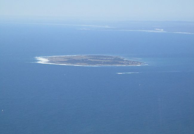 ケープタウンの沖合約12kmに浮かぶかつての「監獄島」or「苦闘の大学」とも呼ばれたロベン島は、反アパルトヘイト（人種隔離政策）の活動家たちが、塀の中にあってなお自由と民主主義への希望を失わなかった場所でした。