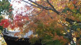 紅葉がきれいでした