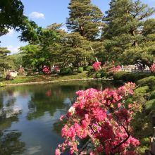 お花も咲いてきて綺麗でした