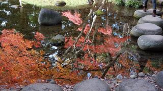 とても浅いです