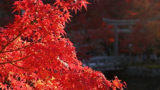 昼と夜で趣が異なる