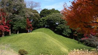 一見、芝生の丘かと