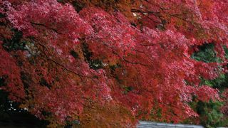 こじんまりとしている