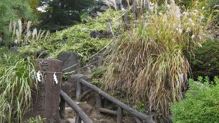 神社の中のミニミニ富士山