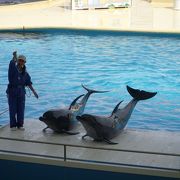 福岡の水族館