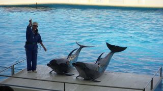 福岡の水族館