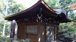  中は入れないし、全く見えません