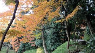 園内に何ヶ所か在ります