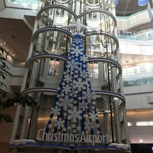 エレベーターのところにあるツリー