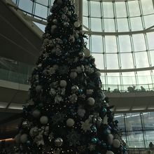 2階に上がったところのツリー