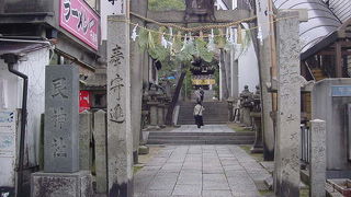 立派な参道でした