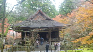 ♪京都 大原 三千院～♪