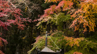 冬も夏もどのシーズンもおすすめ