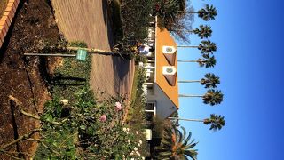 こじんまりとした、きれいなバラ園