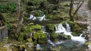 龍泉洞の洞窟から流れ出てくる川