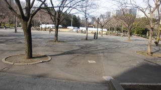 最初に目にしたところでした。