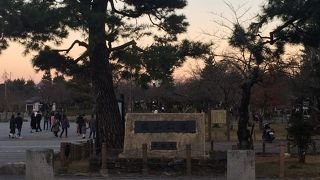 嵐山公園は２ヶ所に分かれています。