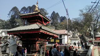 屋根の軒先に注目！