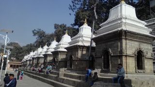 中を覗き込むと…