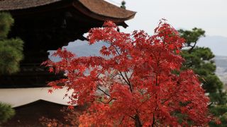 木々の合間から見える