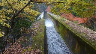 南禅寺周辺を歩九のは気持ちが良い。
