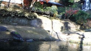 広い円覚寺の小さな池