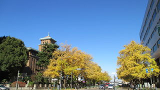 銀杏並木がきれいでした