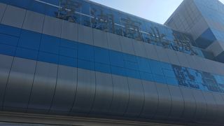 偽物がいっぱい