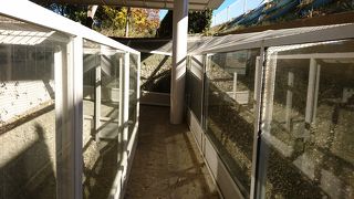 貝塚の断面図が見れます