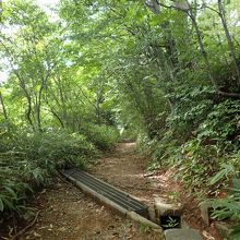 神社周辺から離れた散策路はこんな感じ