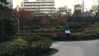 大都会にある日本庭園