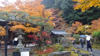 南禅寺の塔頭の一つ。