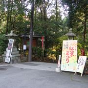 今熊野観音寺。紅葉鑑賞の穴場です。静かで落ち着いています。ひとも少ない。