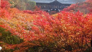 臥雲橋からの写真撮影は禁止です。でも，撮らずにはいられません。すいているときに無理して撮らしてもらいました。