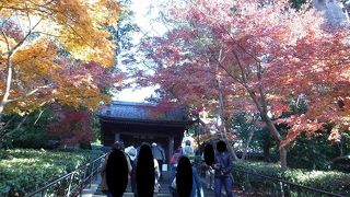 北鎌倉駅から一番近い見所