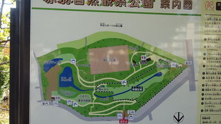 紅葉がきれいでした。