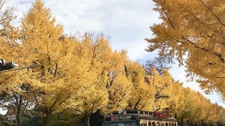 洋風な街並みと海がお洒落