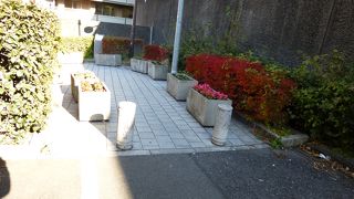 都心らしい面白い風景が見れます