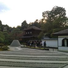 庭と銀閣