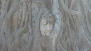 ワットマハタート