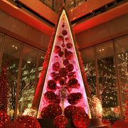 2017年は『Marunouchi Bright Christmas 2017 -Blooming Anniversary ～花で彩るクリスマス～-』