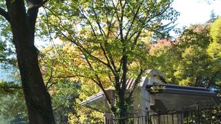 紅葉も少ししていました。