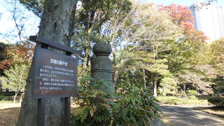 菊と共に若干の紅葉も楽しめました