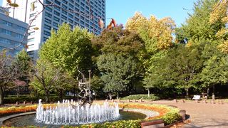銀杏の黄色との噴水の風景が美しかったです