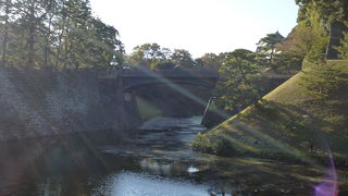 少し離れたところから見ることができます。