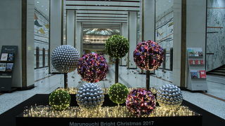 2017年はBlooming Garden