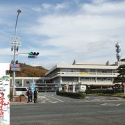 往復利用には路線の熟知が必要。緑コースは観光客向き