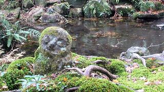 紅葉も取り込んで苔むした地蔵さん！